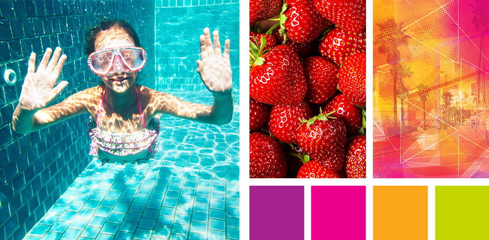 Fruitocracy brand expressions